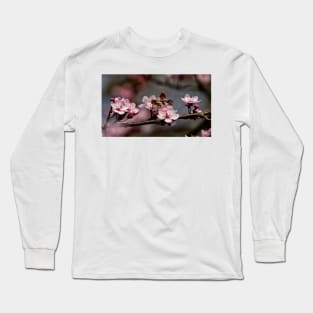 Cherry Blossom Panorama (2) Long Sleeve T-Shirt